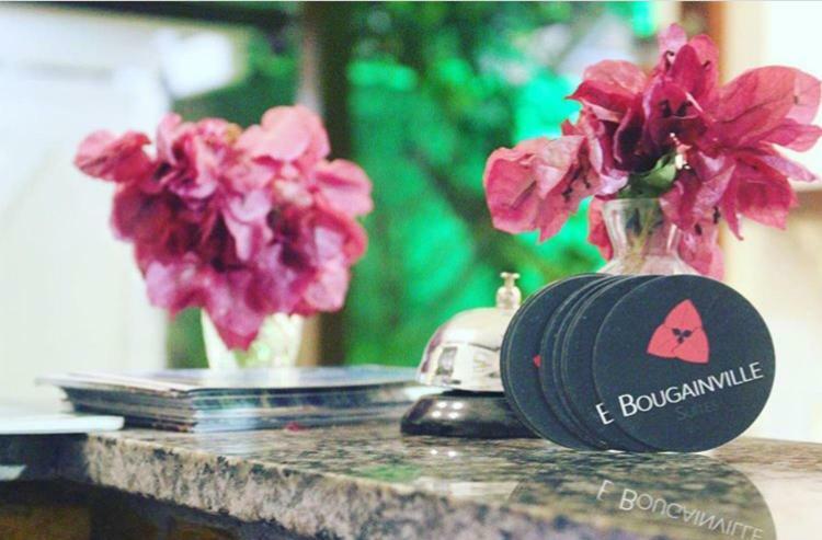 Bougainville Suites アハイアウ・ド・カボ エクステリア 写真